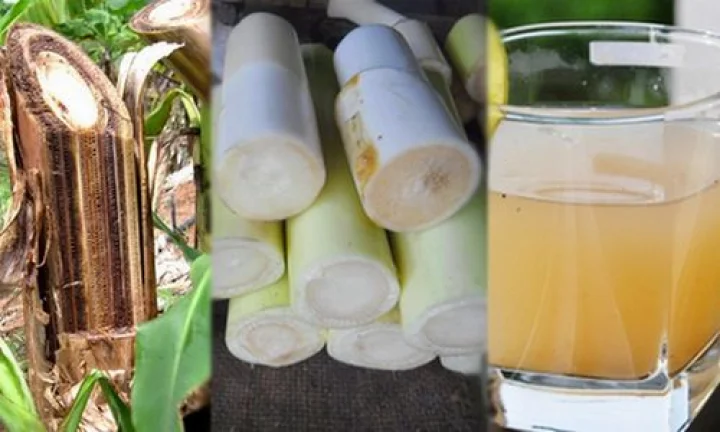 அறுவை சிகிச்சை இல்லாமல் சிறுநீரக கல்லை கரைத்திட உதவும் எளிய வழி!