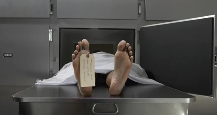 பிணவறை உதவியாளர் பதவி: பிஎச்டி பட்டதாரிகள் விண்ணப்பம்!!