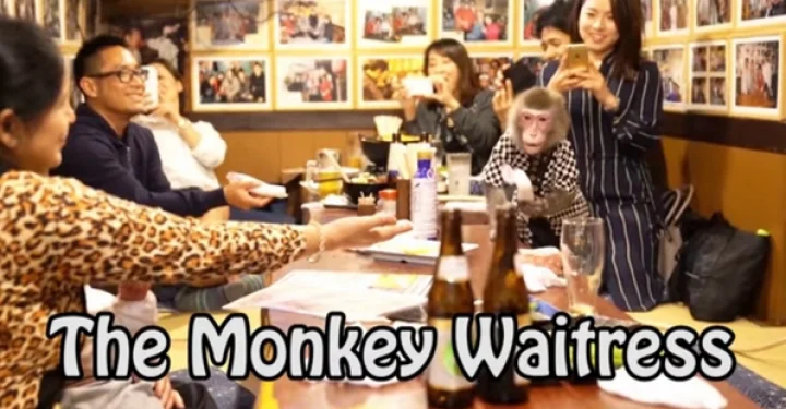 இந்த ஹோட்டலின் சர்வர் யார் என்று தெரியுமா? வீடியோ பாருங்க!!