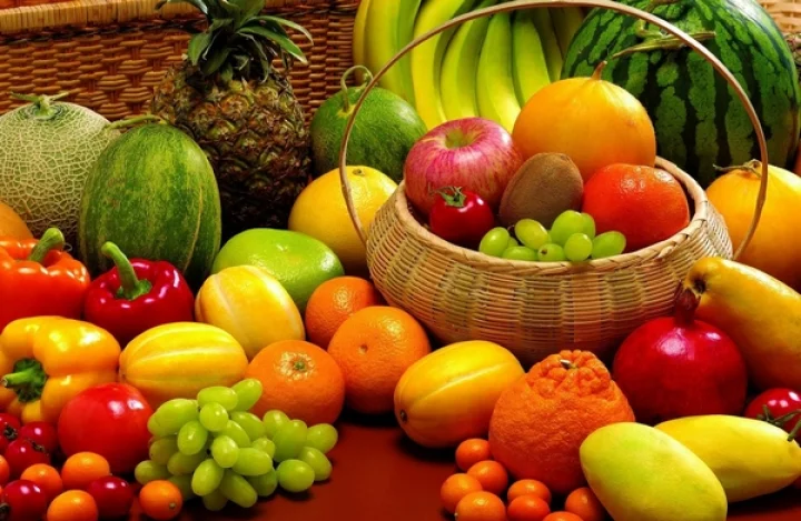Organic Revolution