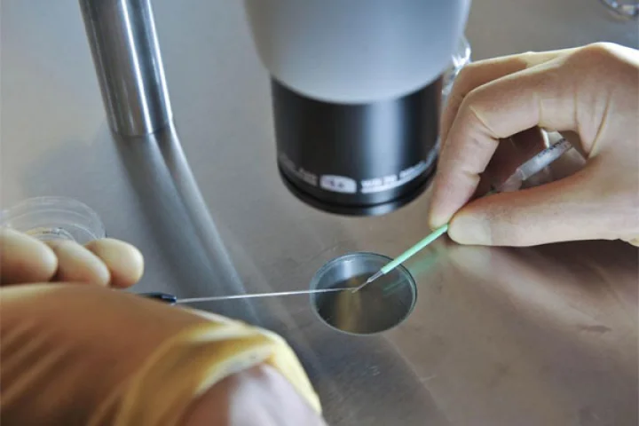 ஒரு குழந்தைக்கு எப்படி மூன்று பேர் பெற்றோர் ஆக முடியும்?