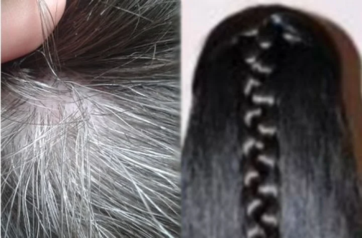 தலைமுடி