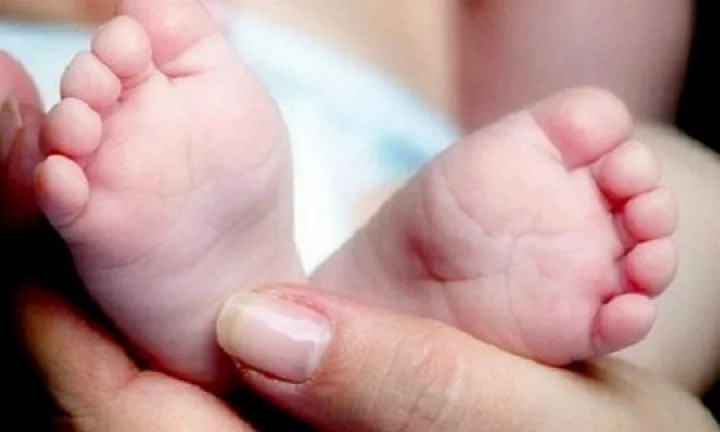 கர்நாடகா