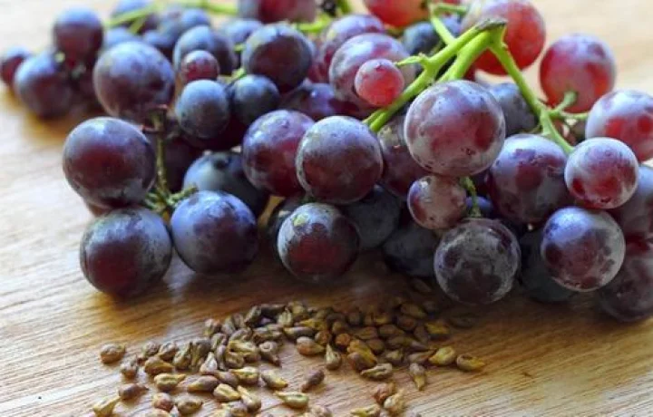 கருப்பு திராட்சை