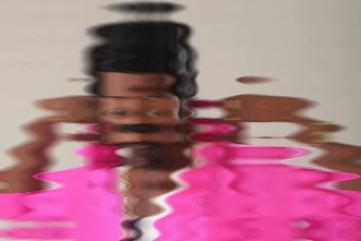 ஹீரோ ஆசையில் புஷ்பா புருஷன்!!