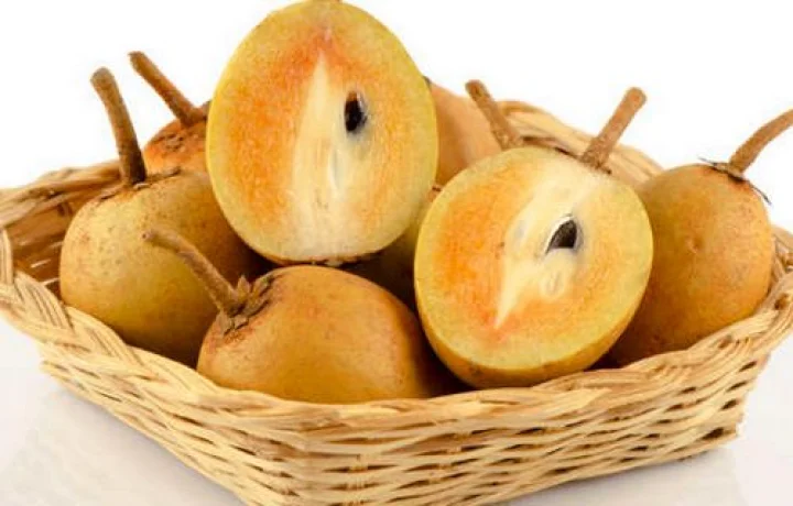 சப்போட்டா