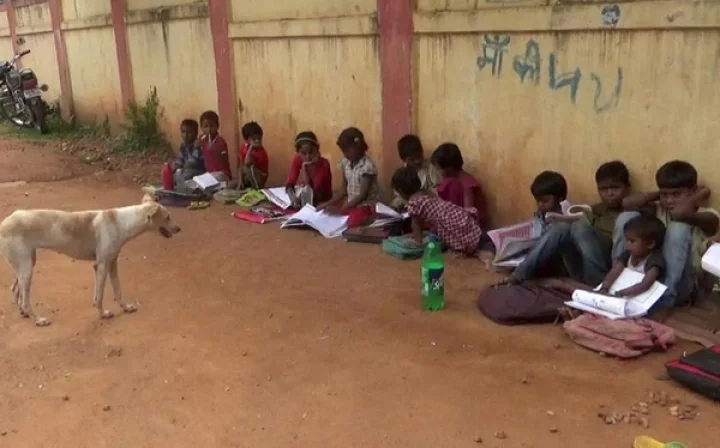 3 வருடங்கள்