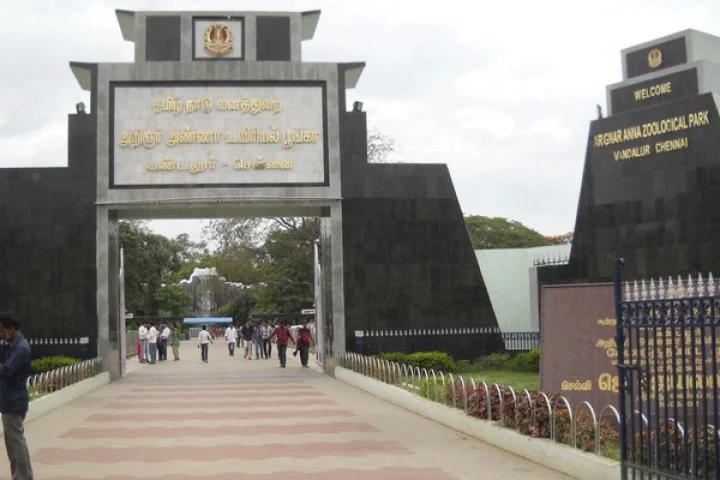 வண்டலூர் பூங்காவை சுற்றிப்பார்க்க குட்டி ரயில்: ரூ.3 கோடி ஒதுக்கிய முதல்வர்