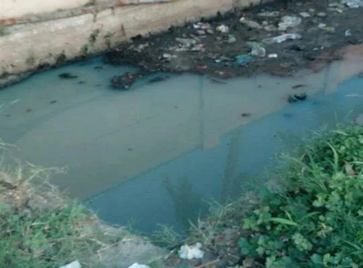 முதல்வர் வீடு அருகே கொசு உற்பத்தி? - அபராதம் விதிக்கப்படுமா?