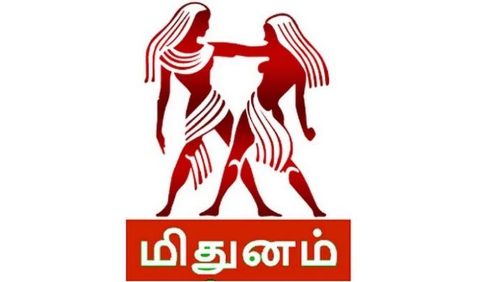 சனி பெயர்ச்சி பலன்கள் - மிதுனம் (2017 - 2020)