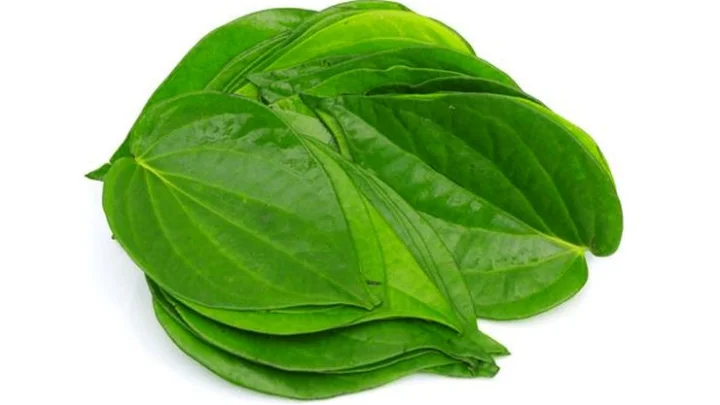 எதற்கெல்லாம் வெற்றிலை பயன்படுகிறது தெரியுமா?