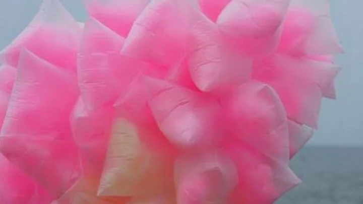 கவிதைகள்