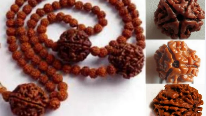 ருத்ராட்சம்