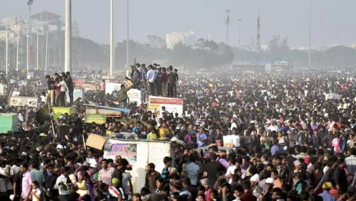 ஜல்லிக்கட்டு