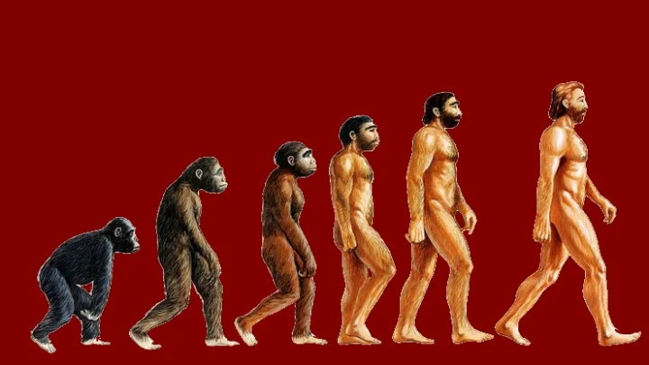 தாத்தா பாட்டி சொன்ன கதைகளில் இல்லை.... டார்வின் தத்துவம் தவறு; மத்திய அமைச்சர்