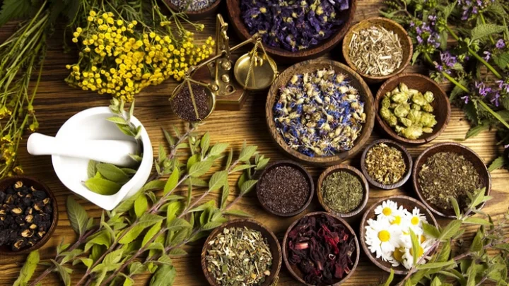 Herbs