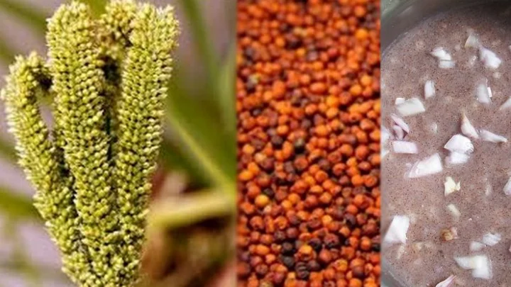 கேழ்வரகு