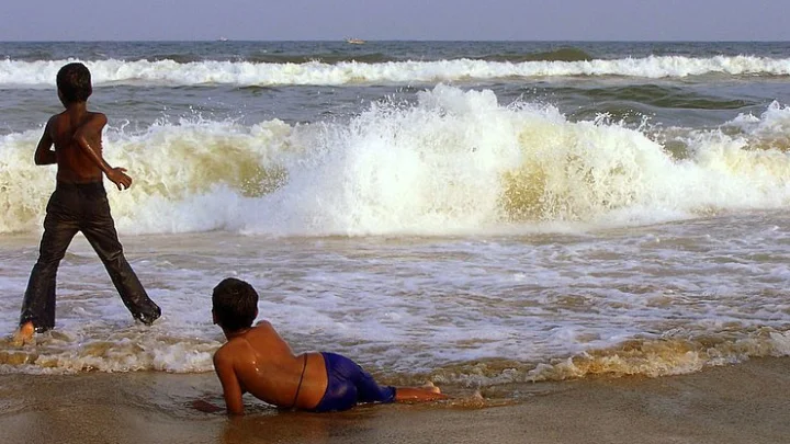 Tamil news | marina pollution | marina beach | Marina | Chennai