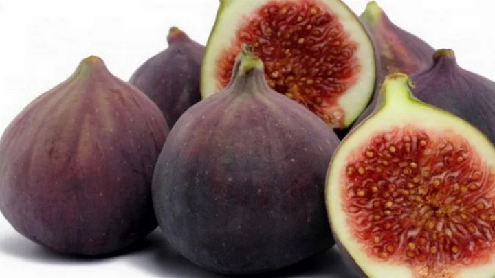 மருத்துவ குணங்கள்