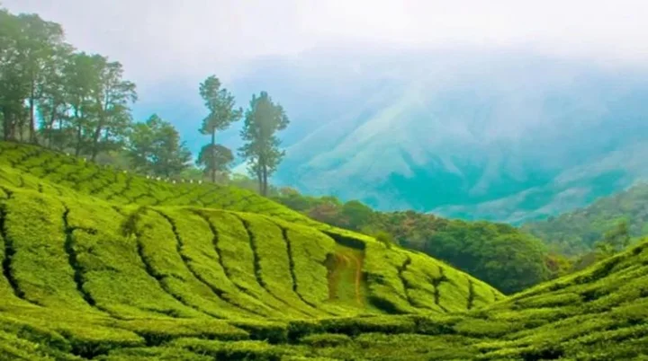 தேக்கடிக்கு போகலாம் வாங்க!!!