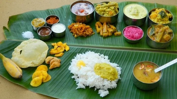 உணவுக்குழல்