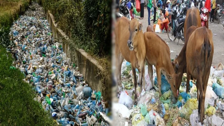 plastic
