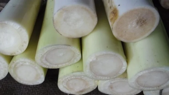 வாழைத்தண்டு