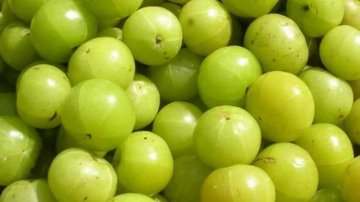 நெல்லிக்காய்