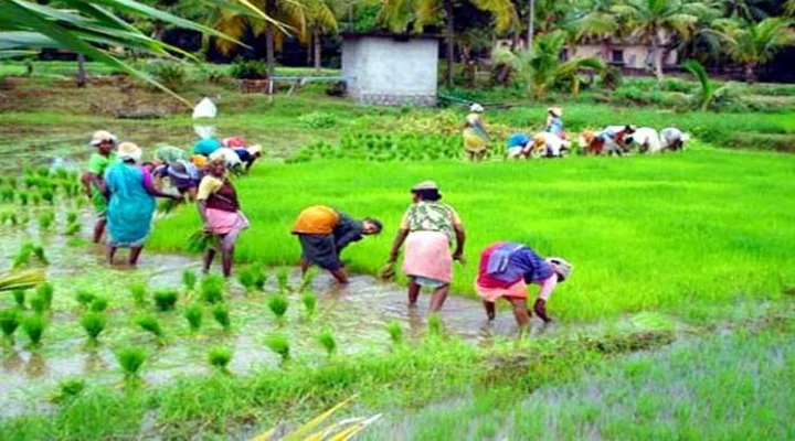 ஆடி மாதத்தின் சிறப்புகள் என்ன தெரியுமா?