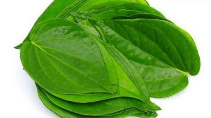 Betel 