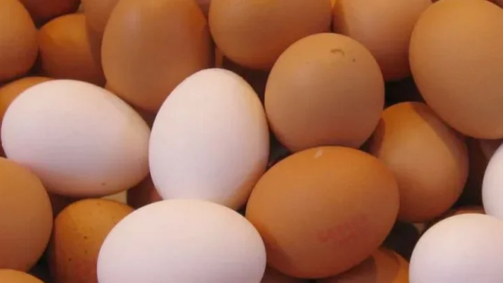 தினந்தோறும்