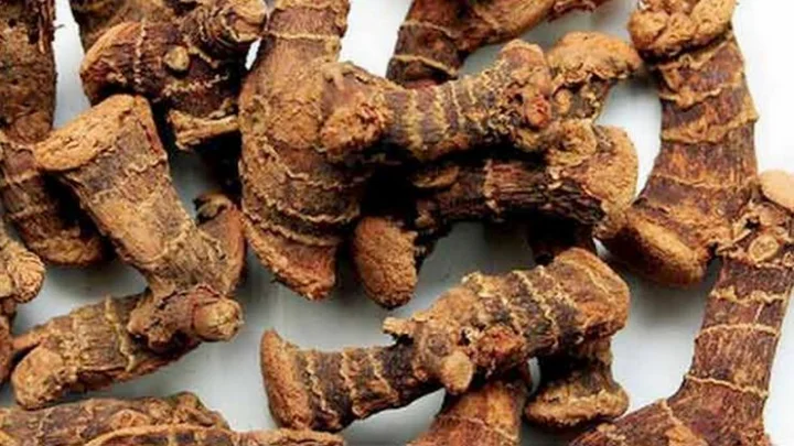 சித்த ஆயுர்வேத வைத்தியர்கள்