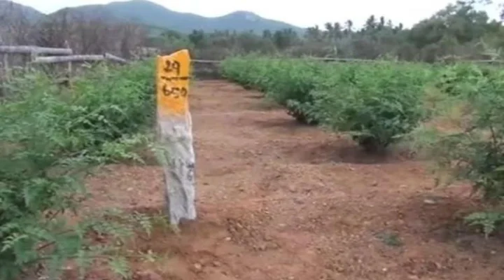webdunia