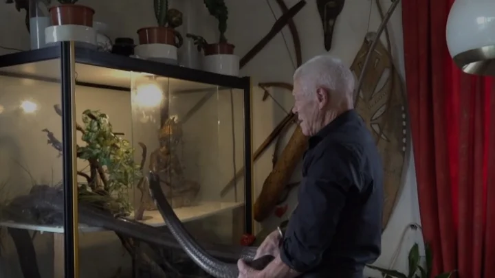 பிரான்ஸ்