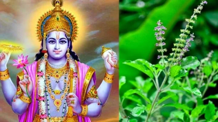 மகா விஷ்ணுக்கு உகந்த துளசியின் பெருமைகள்...!