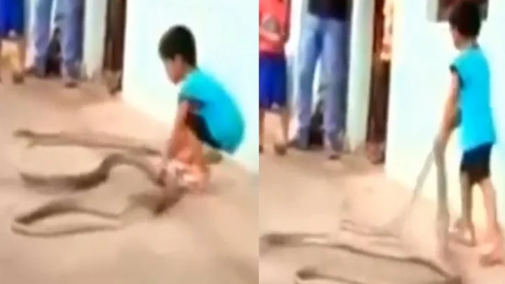 ஹரியானா