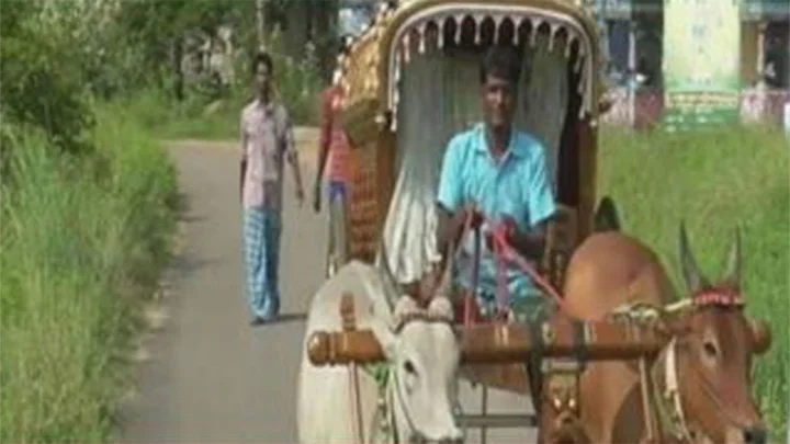 காரின் விலையை விட அதிகமான விலையில் மாட்டுவண்டி