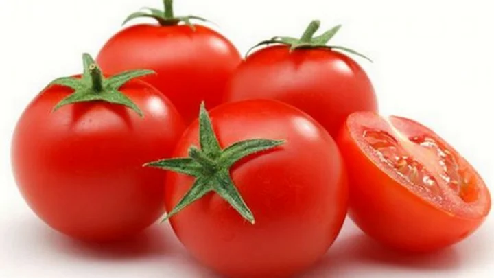 எண்ணற்ற மருத்துவ பயன்களை கொண்ட தக்காளி...!