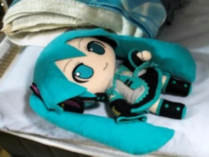 பொம்மையை திருமணம் செய்த வாலிபர்: இது நம்ம லிஸ்டலயே இல்லயே!!