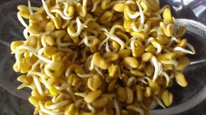 मेथी दाण्याची भाजी