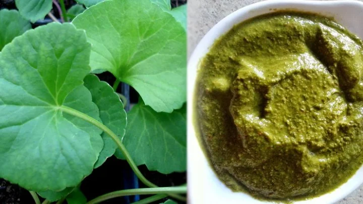 நினைவுத்திறனை அதிகரிக்கும் வல்லாரை கீரை சட்னி....!