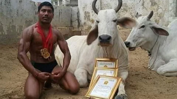 வெற்றிச்சான்றிதழை பசுவின் காலடியில் வைத்து வணங்கிய வீரர்