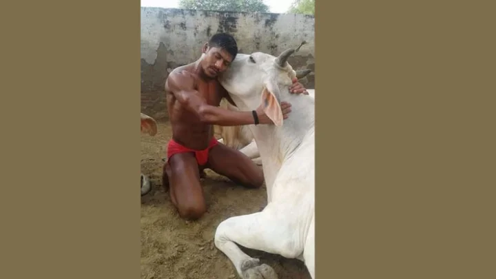 வெற்றிச்சான்றிதழை பசுவின் காலடியில் வைத்து வணங்கிய வீரர்