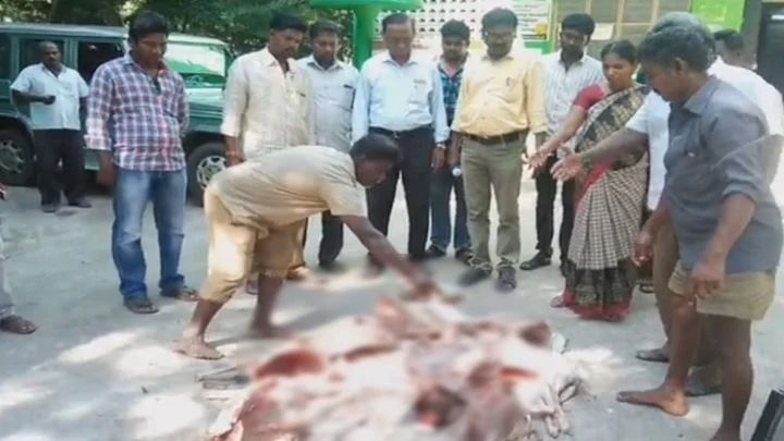 கெட்டுப்போன 500 கிலோ ஆட்டு இறைச்சி பறிமுதல்: எங்கே தெரியுமா?