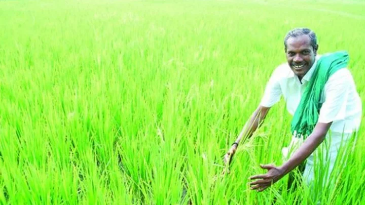 நெல் ஜெயராமன்