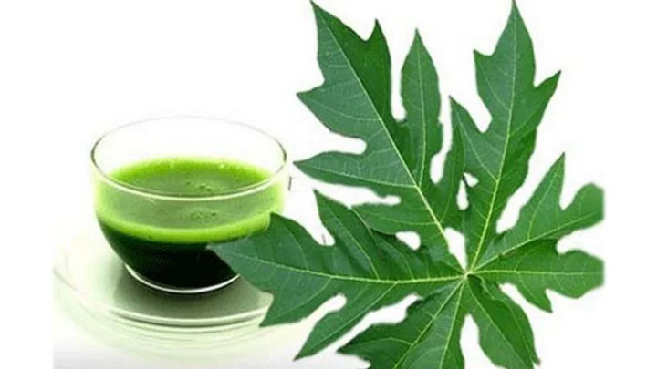 காய்ச்சல்