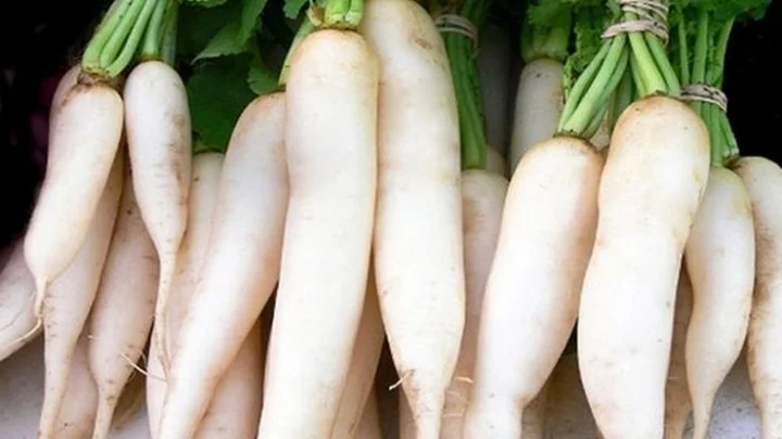 உடல் வெப்பத்தை தணிக்க இயற்கை முறையிலான குறிப்புகள்...!