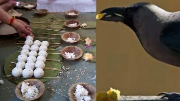 மாசி மகம்