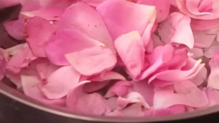 மருத்துவ குணங்கள்