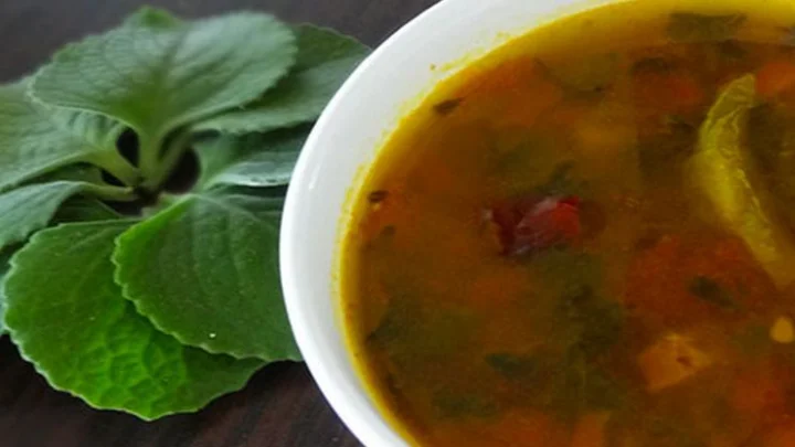 கற்பூரவல்லி இலை